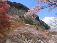 桜咲く・屛風岩から住塚山・国見山・お亀の湯