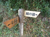 【平日開催第６回】日本のシルクロード(史跡・絹の道)を歩く