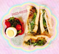 快晴🌟　今日のお弁当は超手抜き〜サンドイッチ
