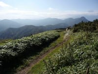秋の箱根外輪山、明神ケ岳の二宮金次郎芝刈り路から歩く