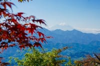 上野原が誇る史跡★要害山（536M）を歩きましょう