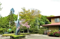 東山植物園『シャクナゲの花』見物のあとは少し園内お散歩(*^-^)