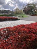 北海道ゴルフ場⛳️紅葉🍁