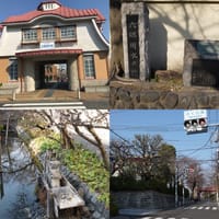 春の予感を感じよぉ〜田園調布周辺の多摩川と桜坂までの歴史街道での桜散歩❗️