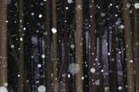 冬景色 その3「雪の舞」