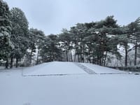 多賀城廃寺跡の初積雪の風景