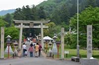 和気神社の藤園