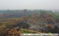 （ヘイズ継続-01）「焼き尽くされたリアウ州の泥炭地の大気監視」  “Pantauan Udara Kondisi Lahan Gambut di Riau yang Hangus Terbakar”