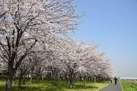千本桜を軽く流してBBQミーティング