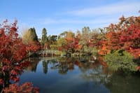 京都河原町でランチと紅葉