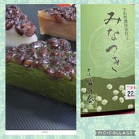 6月に食べる京都の和菓子水無月のご紹介