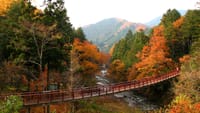 秋川渓谷の紅葉を訪ねて
