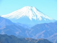 写真３枚は、高尾山頂からの富士山、薬王院付近の紅葉、シベリア抑留者慰霊碑があるところの紅葉