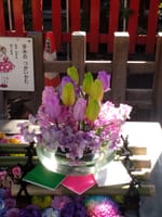 上野にある下谷神社の3月の花手水🌸です。最終回となりました。