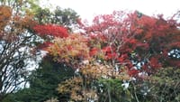 紅葉真っ盛りの生駒山～～♪