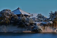 冬の備え・・・・やっぱり柿ムキに始まる。松島五大堂の知識。