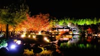 久々の「昭和記念公園」秋のライトアップ･･･美しさ堪能！