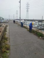 係留している港の清掃奉仕