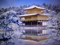 残念ながら2月の京都観光は断念しました。!
