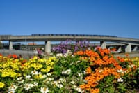 公園（今田遊水地）の花壇と横浜市営地下鉄ブルーライン