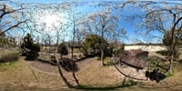 ３６０度動画　大仙公園のモクレン（２０２２年３月１６日）Insta360 ONE X2