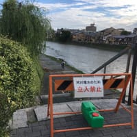 京都の鴨川 大雨の影響は。