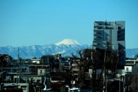 写真は、富士山、韋駄天尊、小網神社