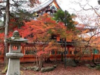 京都トレイル(大文字山)と紅葉