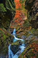  🍂 🍂🍁紅葉の奥多摩。払沢の滝～神戸岩ハイキング👟