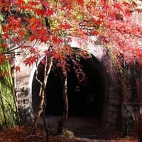 愛岐トンネル群秋の特別公開撮影会