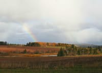 素晴らしい田園景観の中の虹