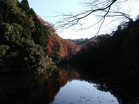 鎌倉湖畔散策