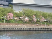 水上バス大坂城港付近の風景