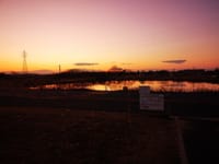 多々良沼の夕日。