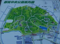 横浜市都筑区にある都筑中央公園：紅葉・黄葉が見頃です !!