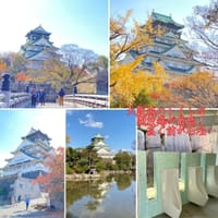 大阪城の黄葉…