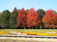 松林の涼しい公園～日本庭園～ゴーカート～紀州街道～熊野街道ウオーク