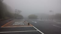 牧ノ戸登山口駐車場は、霧の中。