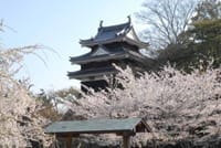 小京都西尾のタウンウオーキング＆西尾城での花見を愉しみましょう！
