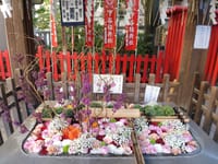 年内ラスト　上野にある下谷神社の花手水🌸です。
