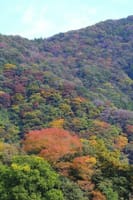 里の山景色 その25「里山の紅葉」