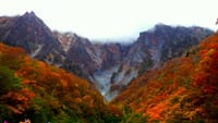 紅葉の絶景空中散歩「谷川岳ロープウェイ」＆一ノ倉沢トレッキング！