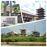 🚄春の修学旅行。芭蕉の故郷「伊賀上野」から青丹も美しい「奈良」の都散策
