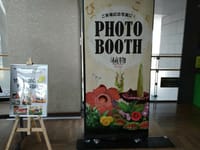 「植物」大阪自然史博物館