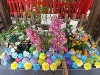 上野にある下谷神社の花手水🌻8月バージョン