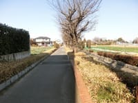 【廃線跡」「日本煉瓦製造専用線」（深谷）跡が散歩道に整備！