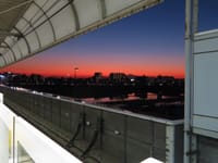 写真は、二子玉川駅からの夕景、日没の富士山、メジロ