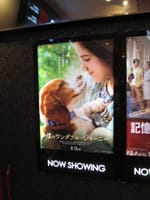 いつも行く木更津アピタ内の映画館で映画を視聴しました。映画名【僕のワンダフル・ジャーニー】でした。