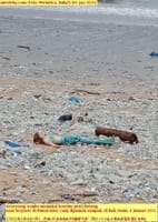 画像シリーズ307「人魚の派手な衣装のアクションは、クタ海岸でゴミ散乱を背景にポーズをとる」”Heboh Aksi Putri Duyung Berpose di Hamparan Sampah Pantai Kuta”