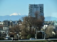 写真は、富士山と岡本太郎作の像、菊名池のカワセミ、夕暮れの富士山